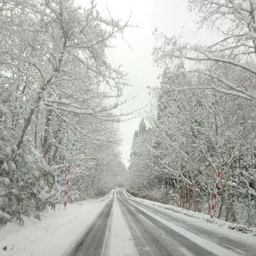 雪の山道②