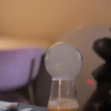 宝塚　ランチ　マグノリア