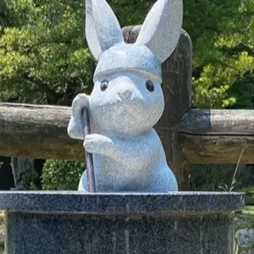 島根県出雲大社敷地内のうさぎ