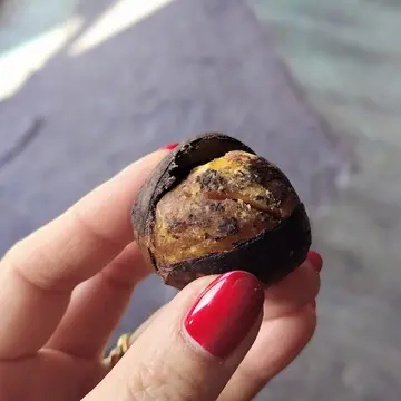 丹波篠山　焼き栗