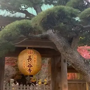 もしもおみくじで『半吉』をひいたら…
