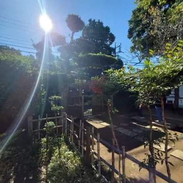 裏庭で野菜作りもしています。