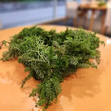 モサモサにさせ過ぎてしまい、先生に手直しをしてもらいました。