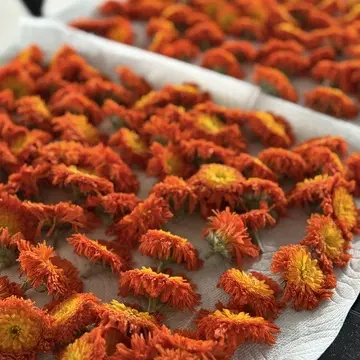 淡路島カレンデュラ