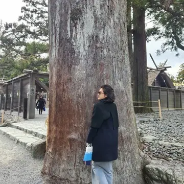 伊勢神宮　外宮　御神木