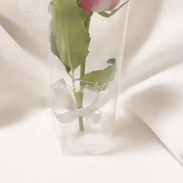 購入当日のCapriceAir