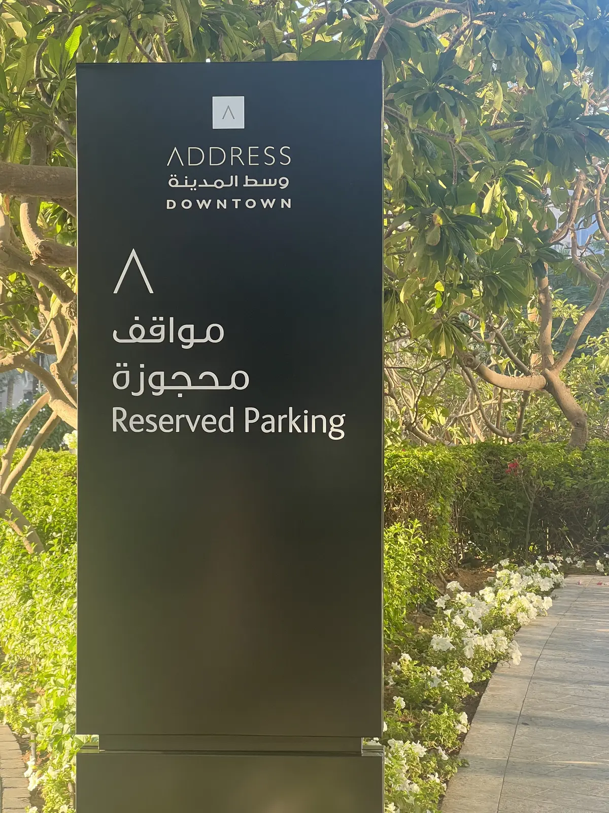 アドレスダウンタウンドバイ