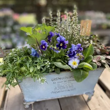 コピスガーデン