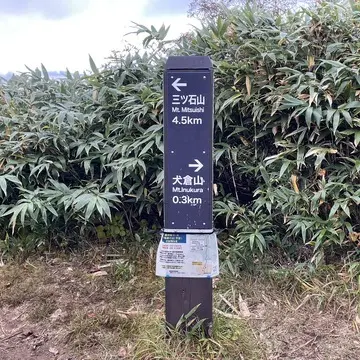 犬倉山分岐