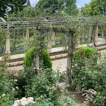 ハイジの村　日本一長いバラの回廊