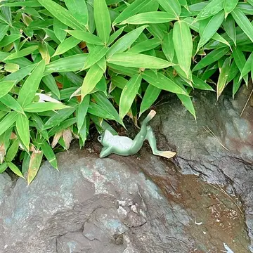 鎌倉あじさい寺内