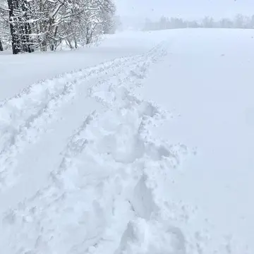 ファーストトラック。誰も立ち入っていない大雪原