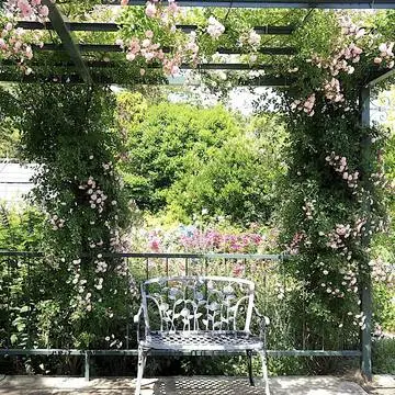 ニュアンスカラーのサーモンピンク