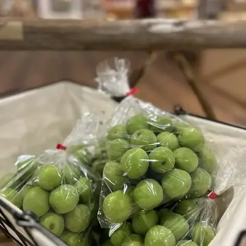 初夏の手仕事、今年も梅シロップを作りました
