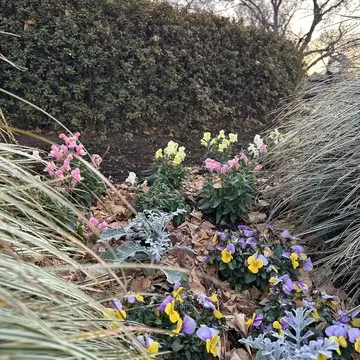 新宿御苑　冬　散策　新宿　公園　都内　自然　花　草木