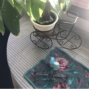 窓辺の観葉植物と眼鏡　目薬