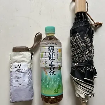 日傘　大きさ比較