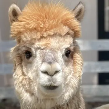 茨城の自然が楽しめる素敵な場所への画像_5