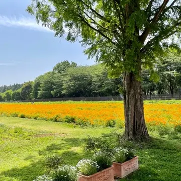 茨城の自然が楽しめる素敵な場所への画像_2