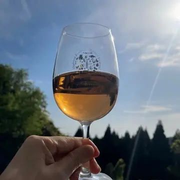 富山県のワイナリー「セイズファーム」のワイン