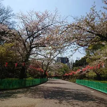 こんな景色を見るのは初めてでした