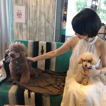 ボンダイカフェ