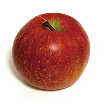 リンゴ幹細胞エキス