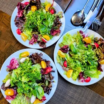 カラフルなサラダはドレッシングも美味しく、パンもほんとに美味しかったです。