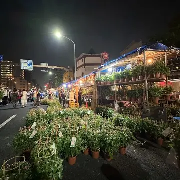 朝顔市