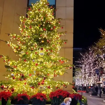 ペニンシュラのツリーの前では、ワンちゃんが記念撮影してました。