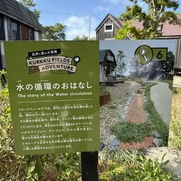 クルックフィールズ