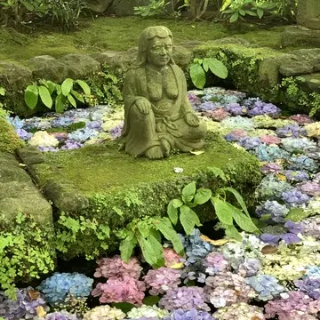 長谷寺　花手水　あじさい　卍池
