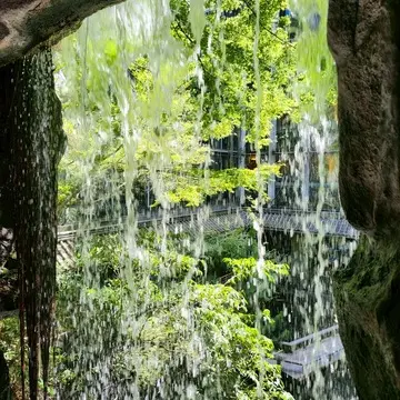 雅叙園の中庭にある滝の裏側