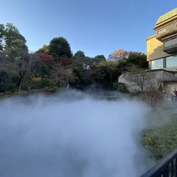 ホテル椿山荘の庭園に広がる雲海の景色。秋の紅葉と霧の演出が美しい東京の人気スポット。文京区・椿山荘の幻想的な雲海イベントの写真