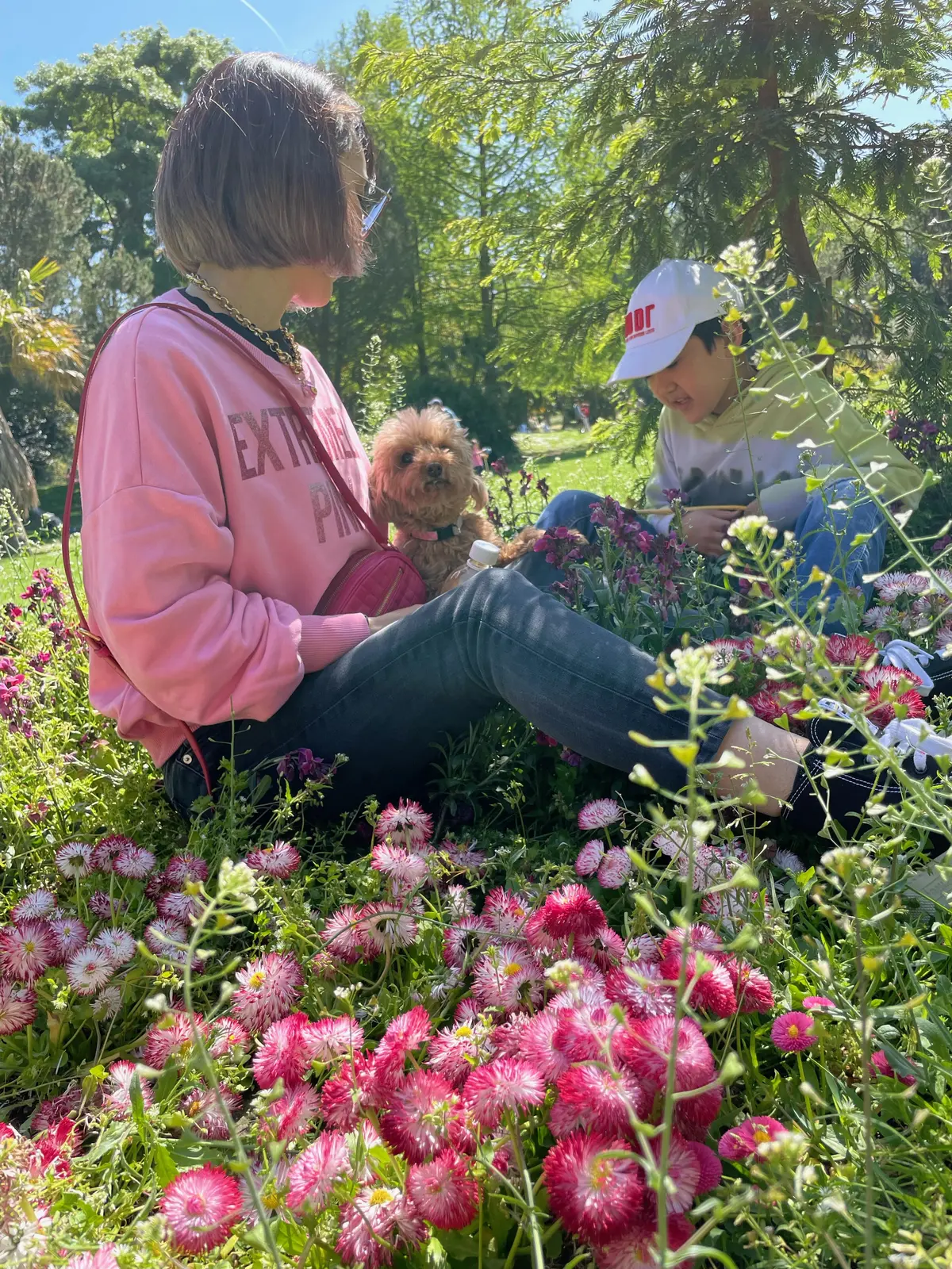 エクラ 華組　倉爪佐和さんの愛犬