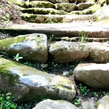 百一日参り  茶湯寺