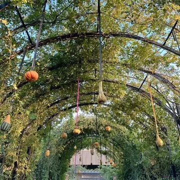 横浜イングリッシュガーデンのハロウィン