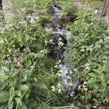 諏訪大社　長野　上社前宮