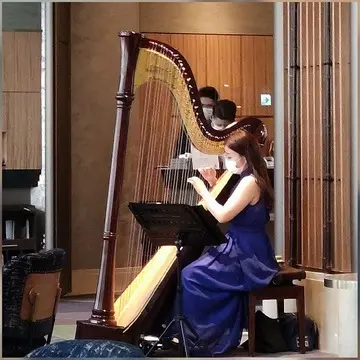ハープ演奏