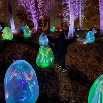 チームラボ　光のアート空間。素敵です(*^｡^*)