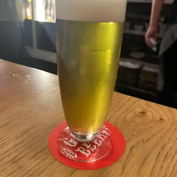 二子玉川　ニコタマ　銀河鉄道の父　二子玉川ライズショッピングセンター　クラフトビール　アイビアー・ルサンパーム　マスカットピルス　緑のビール