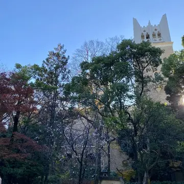 早稲田大学・大隈講堂を背景にした秋景色。紅葉と木々に囲まれた大隈講堂の全景写真｜早稲田キャンパス散策・大隈庭園の紅葉