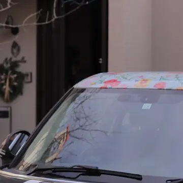 宝塚　ランチ　マグノリア