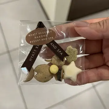 ハイアットリージェンシー箱根