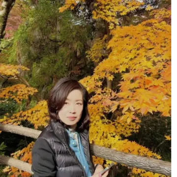 箕面の紅葉　黄金のもみじ