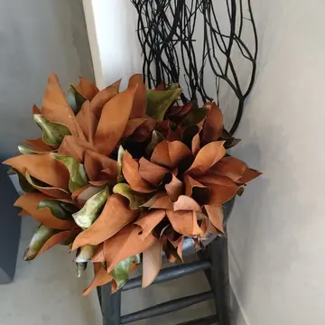 クリスマスリース