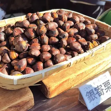 丹波篠山　銀寄栗