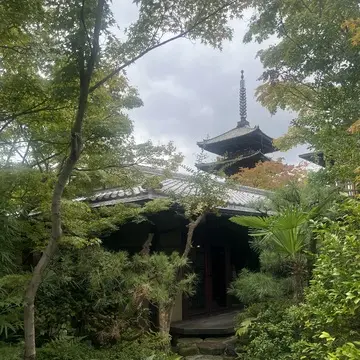 京都ランチ　the sodoh