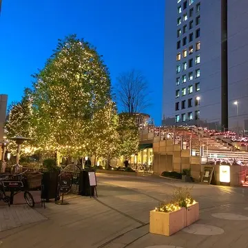 ミッドタウン日比谷のイルミネーション