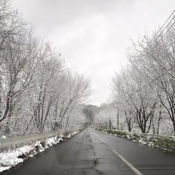 雪の山道①